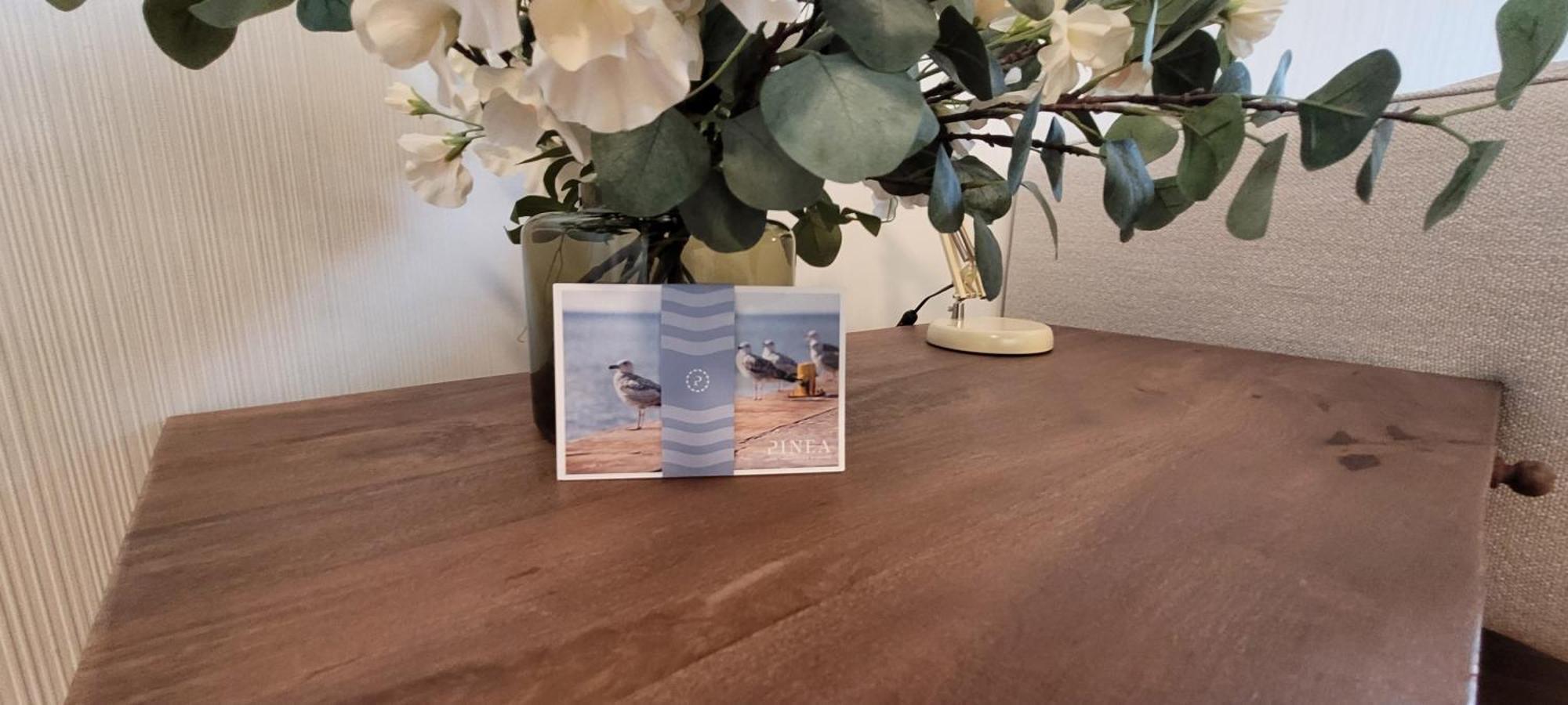 Apartment Pinea